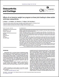 Effects of an intensive weight loss program on knee joint loading