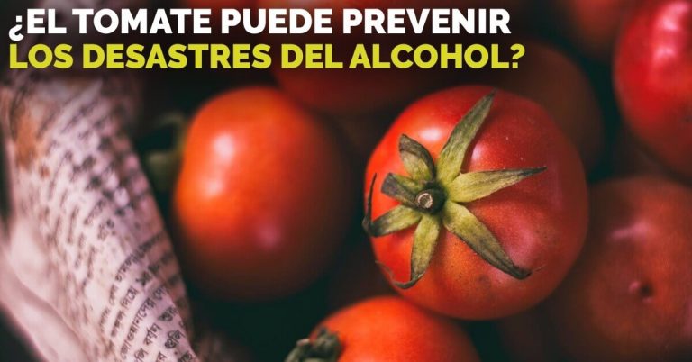 El tomate puede ayudar a protegernos de los efectos del alcohol.