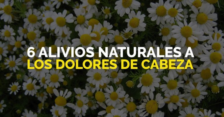 Conoce estos 6 remedios para aliviar naturalmente tu dolor de cabeza.