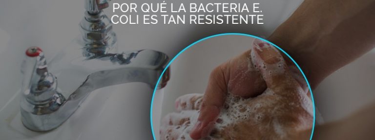 La higiene y el lavado de manos puede evitar el contagio de la bacteria E. coli.