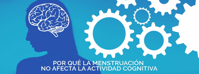 La menstruación no afecta la actividad cognitiva.