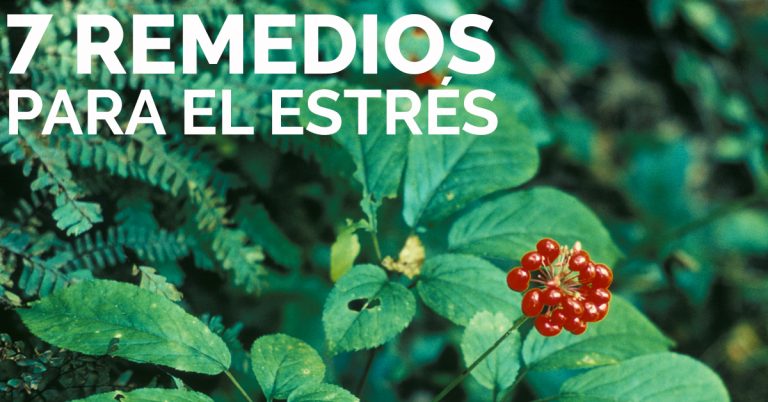 remedios tradicionales naturales para el estrés