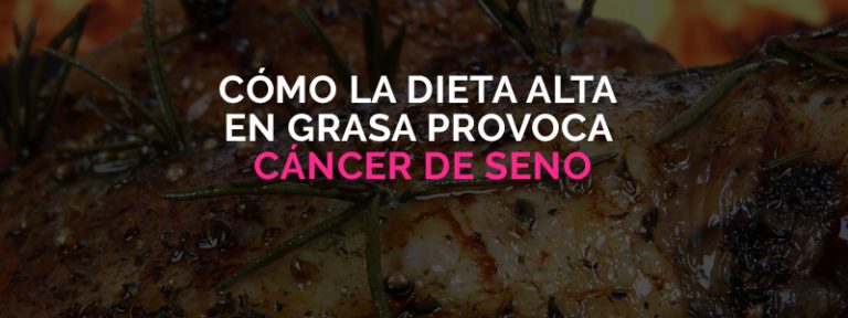 Dieta alta en grasa provoca cáncer de seno.