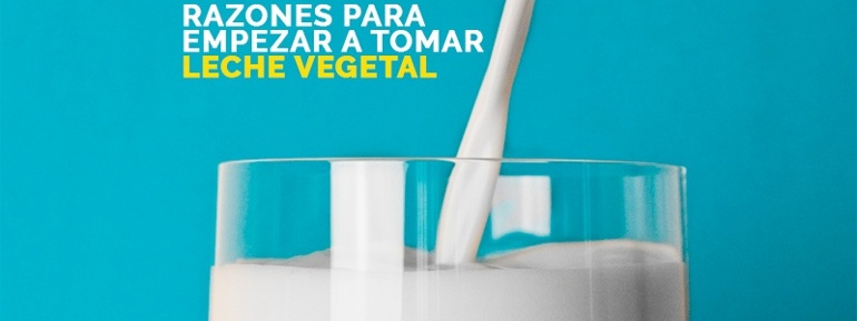 Leche vegetal beneficios