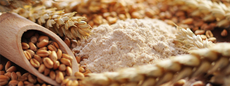 Beneficios del germen de trigo