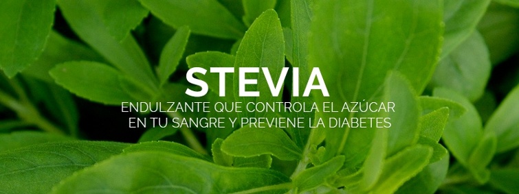 La stevia como alternativa