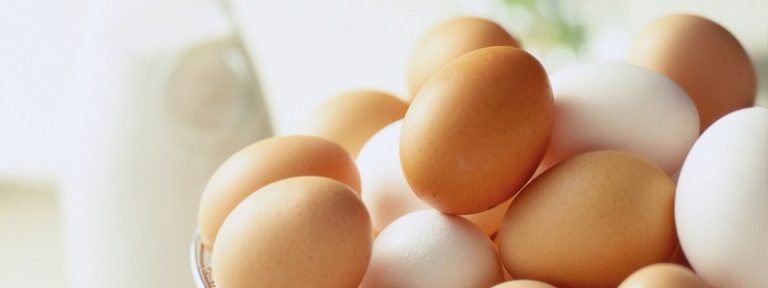 El huevo tiene muchos nutrientes