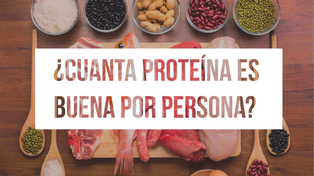 Cantidad recomendada de proteína