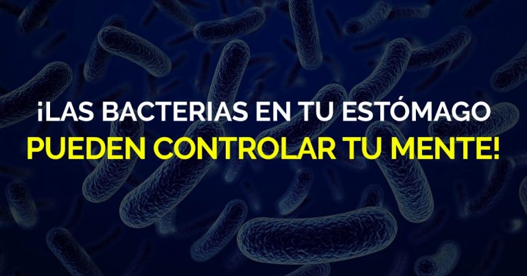 Bacterias estomacales